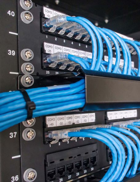Close-up of a network rack with organized blue ethernet cables, representing structured wiring, cloud hosting, business email, and cloud email by Elevate Technology.